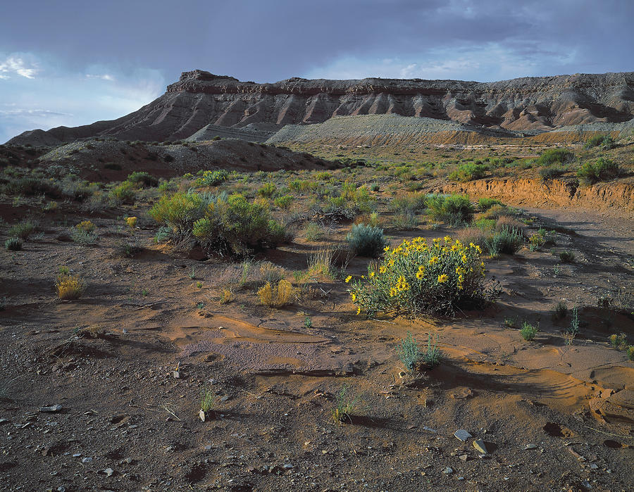 Sundowner Plateau Photograph By Paul Breitkreuz