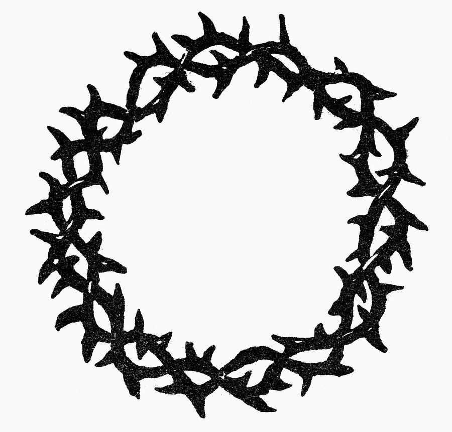 Crown Of Thorns Symbol