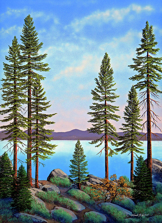  - tall-pines-of-lake-tahoe-frank-wilson