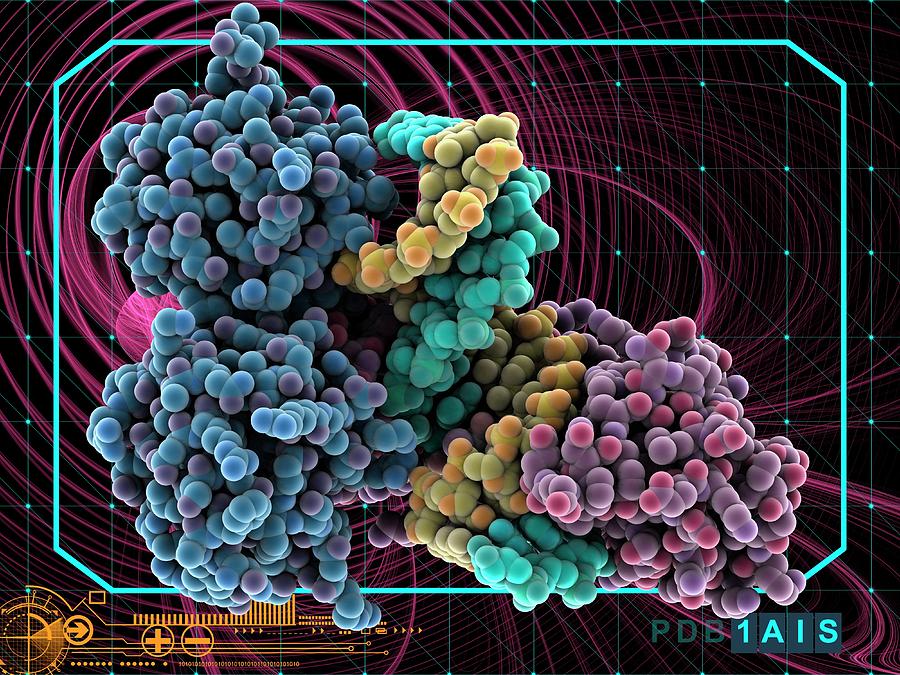 Tata Box Binding Protein Complex By Laguna Design Science Photo Library