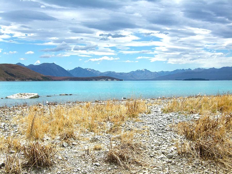 Online dating new york times-in-Lake Tekapo