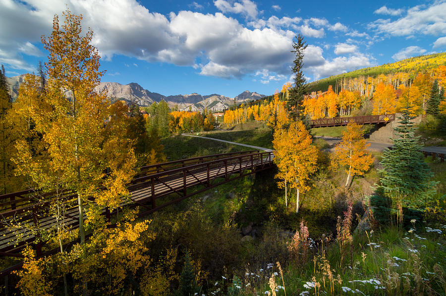 Telluride Fall Colors Photograph by Michael J Bauer