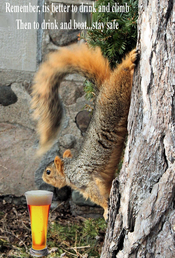 The Beer Drinking Squirrel Photograph