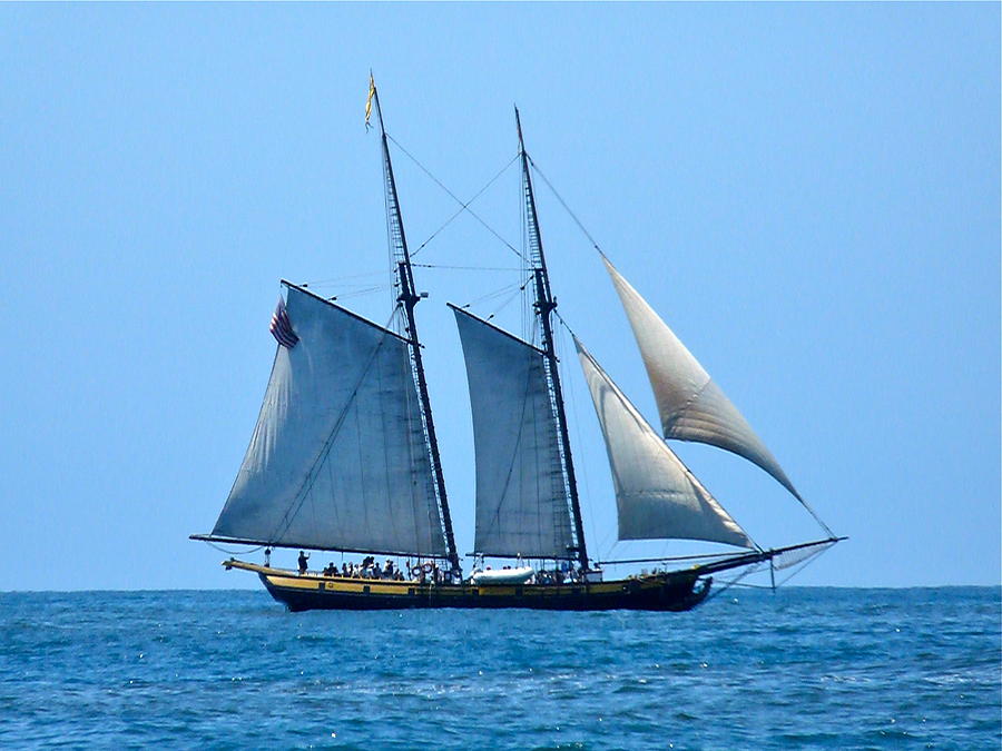 The Brig Pilgrim At Sea Photograph by Alan Pearson