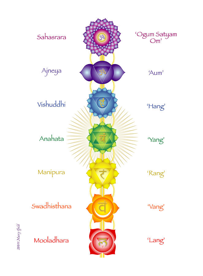 The Chakras With Seed Mantras By Marcy Gold