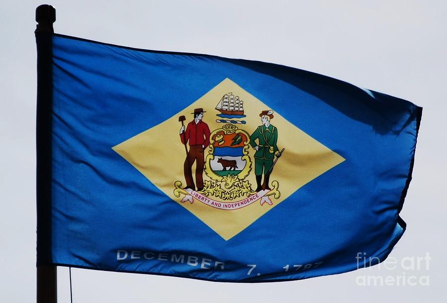 The Delaware Flag Photograph By Marcus Dagan