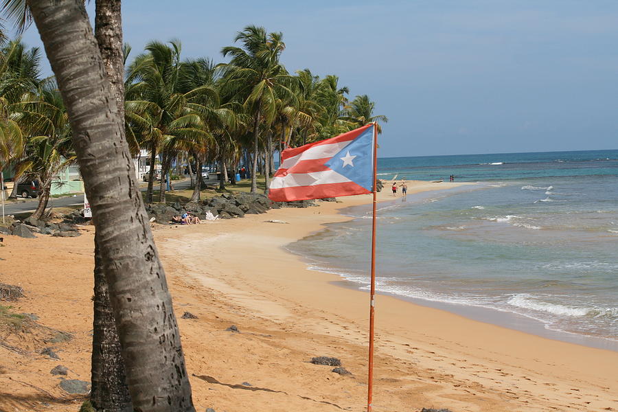  - the-flag-of-puerto-rico-walter-bosque-del-rio