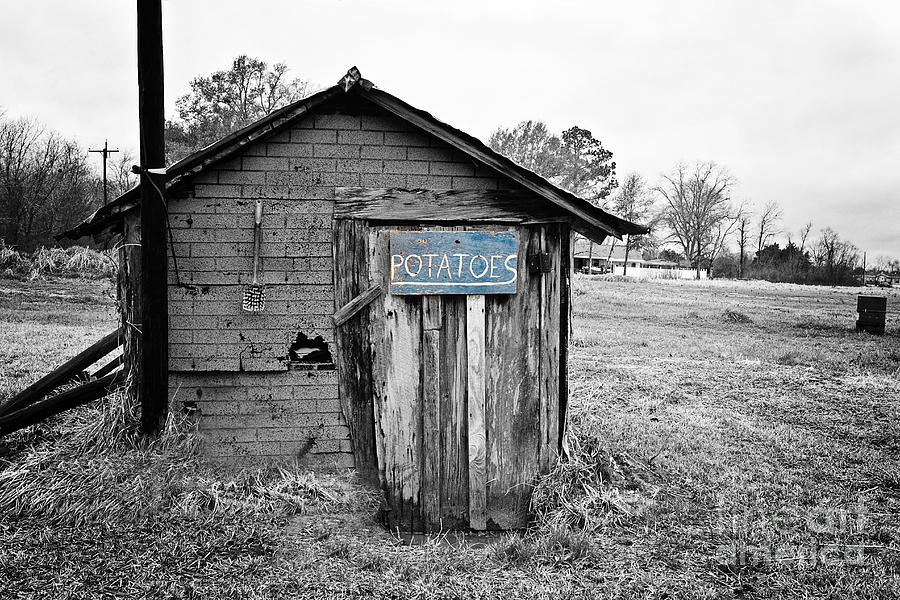 The Potato Shed Photograph by Scott Pellegrin
