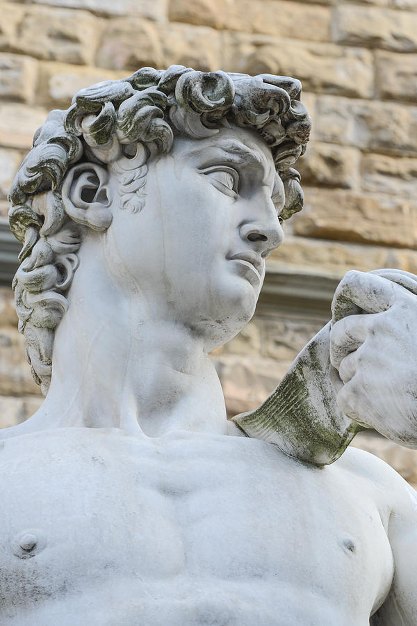 The Statue Of David By Michelangelo Photograph By Brandon Bourdages Hot Sex Picture