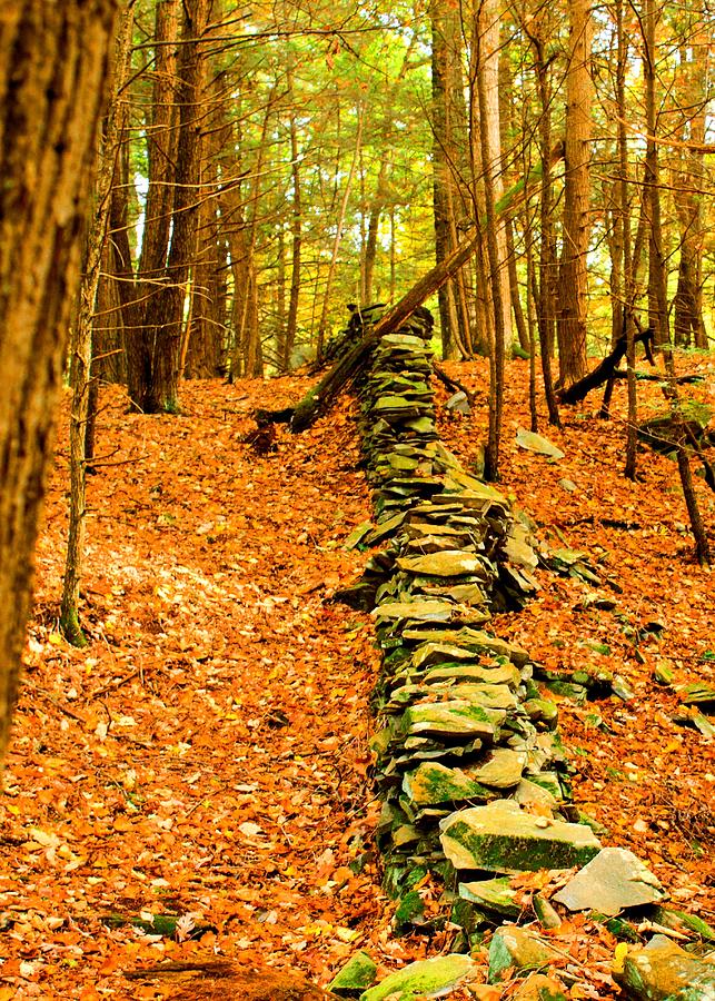 The Wall Photograph By Robert McCulloch Pixels