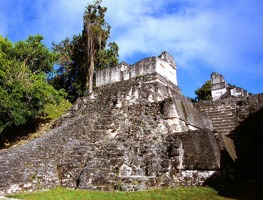 Tikal North Acropolis Temple Photograph By Robert Rodvik