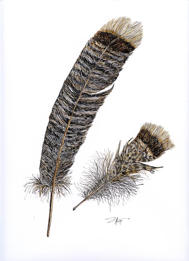 Two Turkey Feathers by Ardys Lurtsema