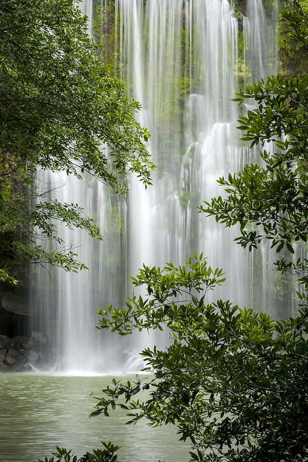 verticle waterfall images with trees verticle waterfall images with trees