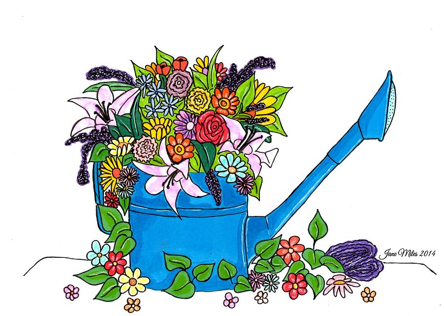 Watering Can And Flowers Drawing by Jane Miles