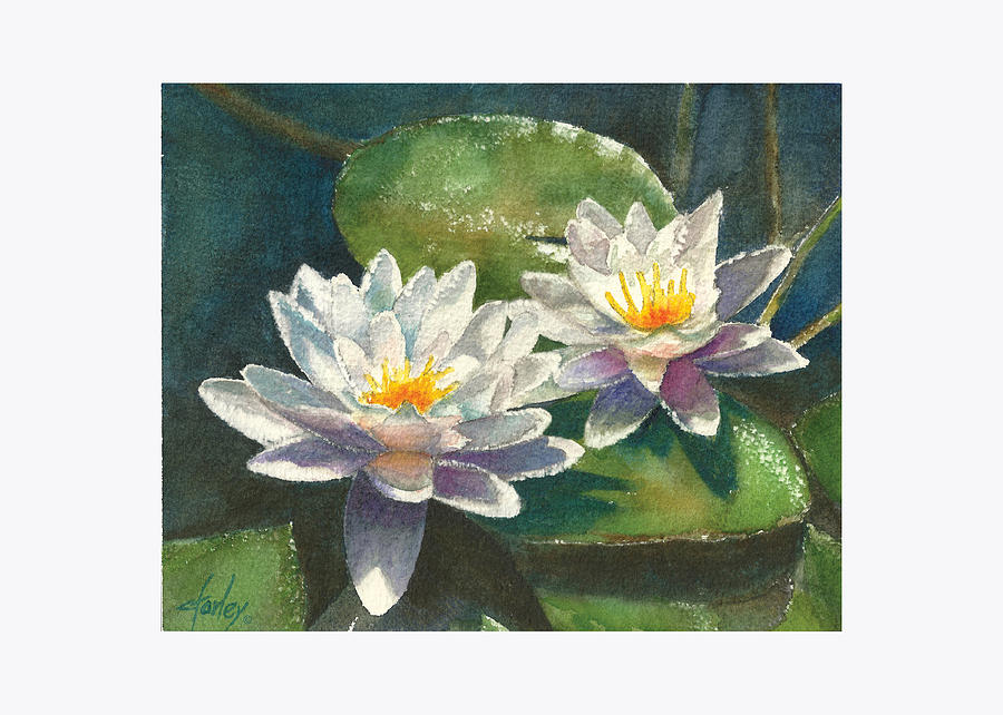  - waterlilies-corie-farley