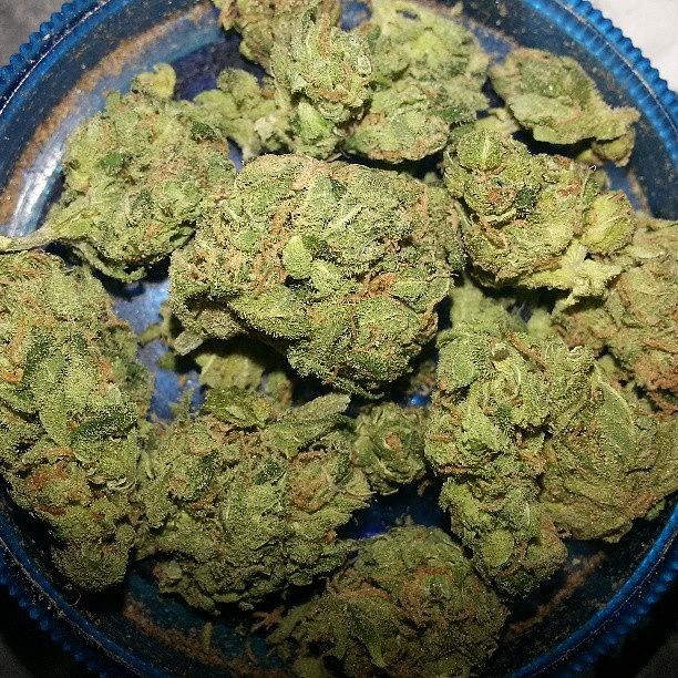 Albums 92+ Pictures what is a nug of weed Stunning