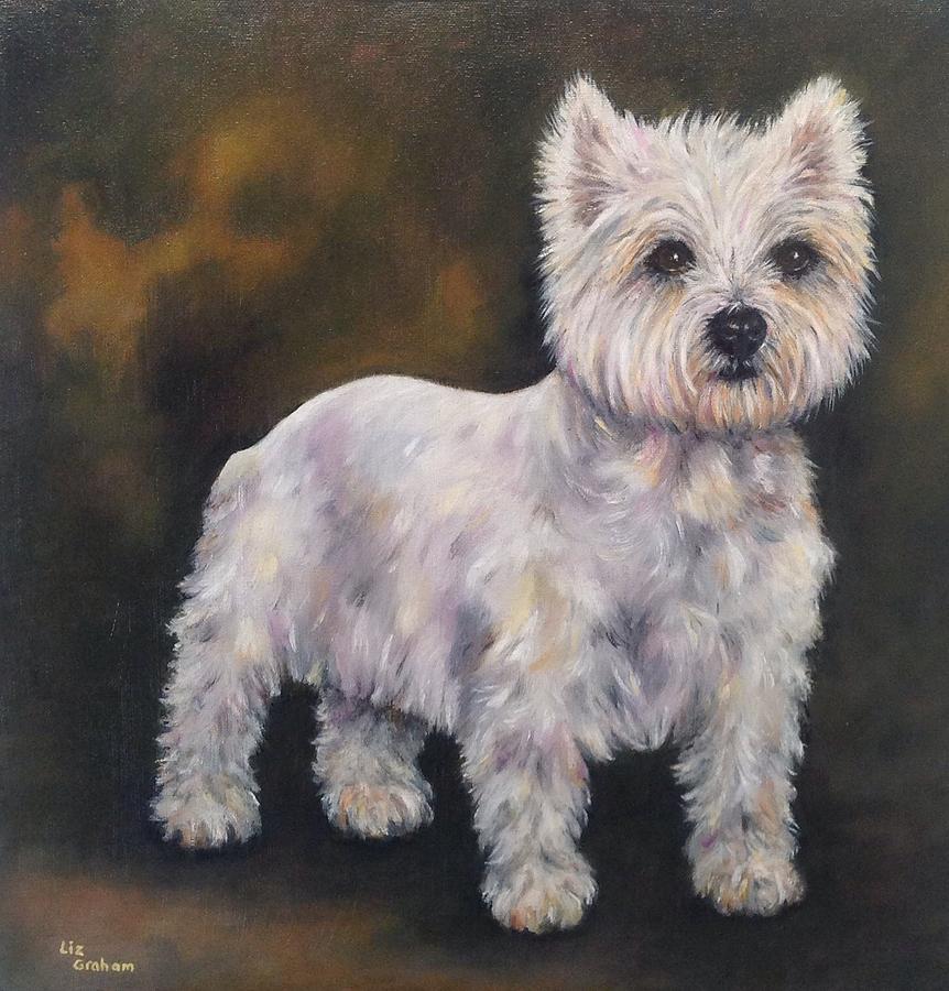 West Highland Terrier Painting By Liz Sharpe Fine Art America