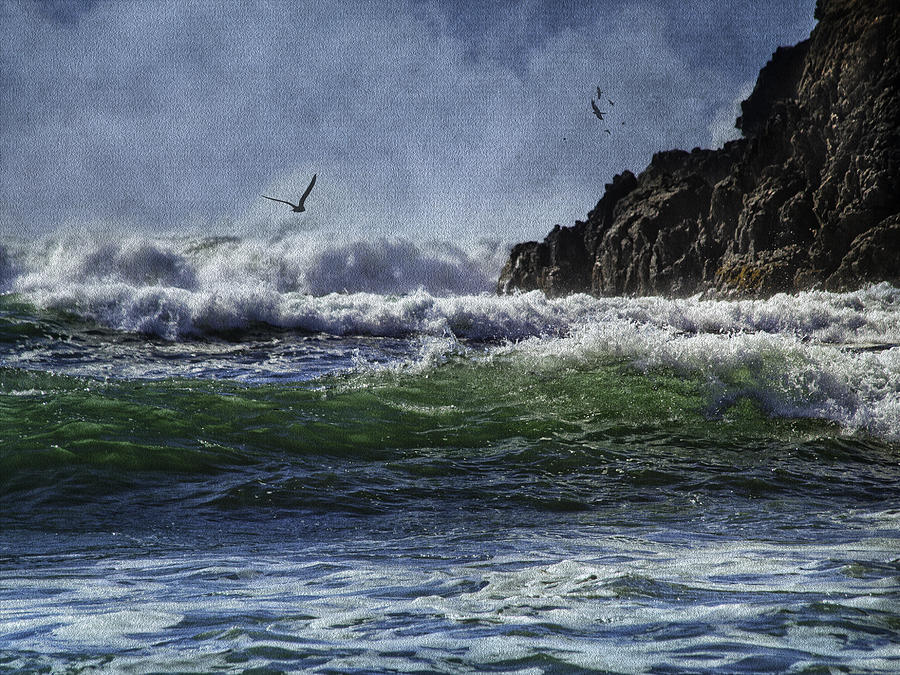 whales head beach southern oregon coast photograph by whales head beach southern oregon coast photograph by