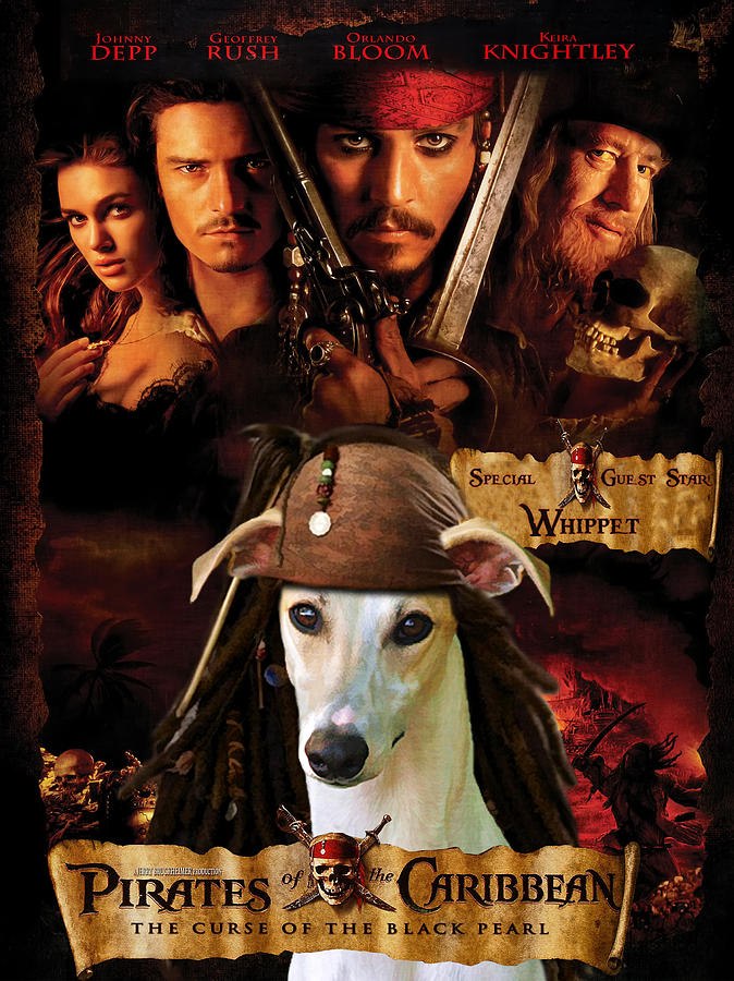 the pirate filmes oficial