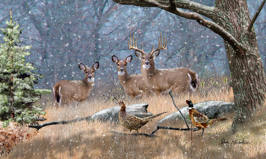 whitetail deer art painting First Snow