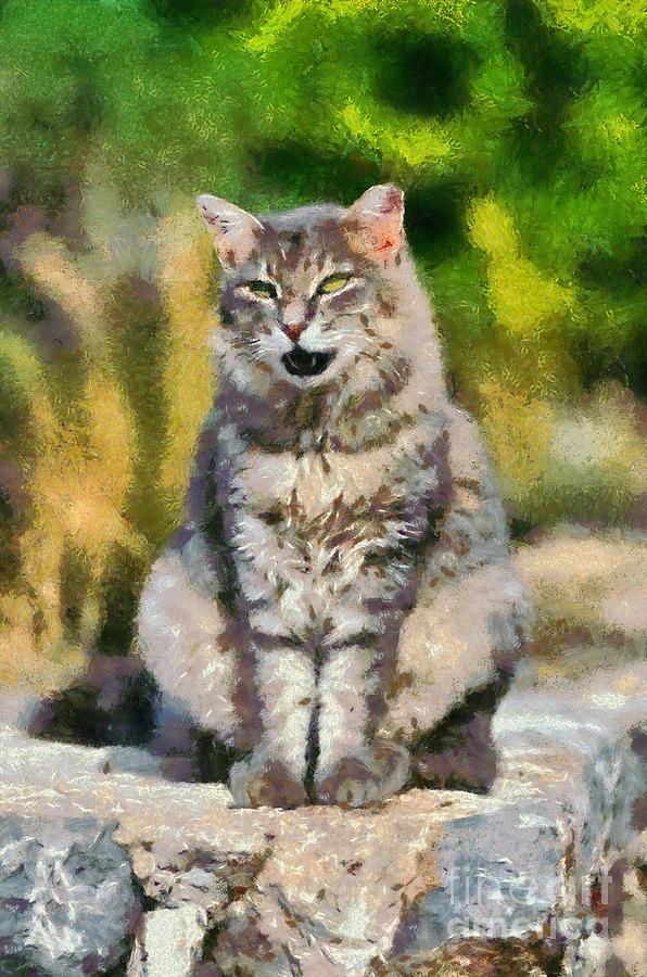  - wild-cat-george-atsametakis