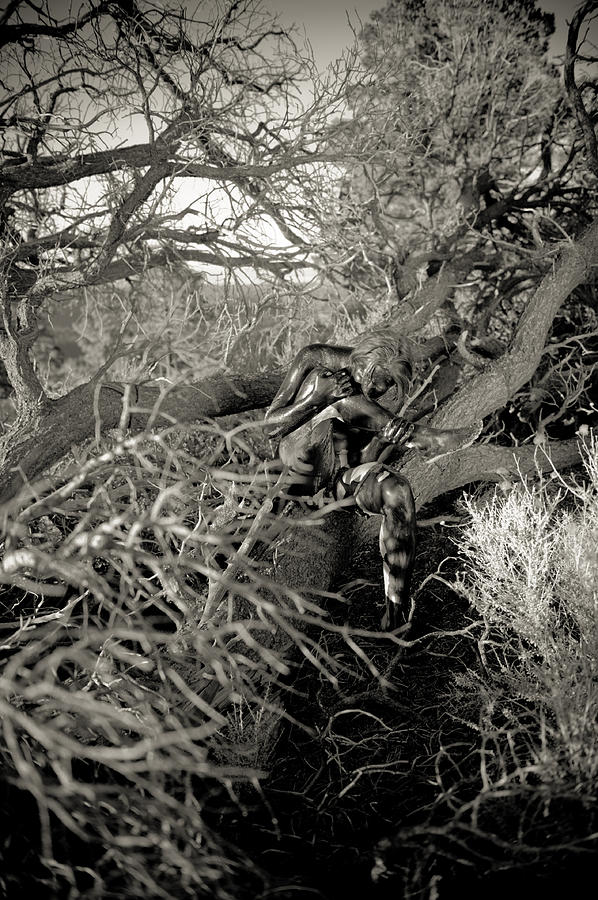 Wild Woods Photograph By Scott Sawyer Fine Art America