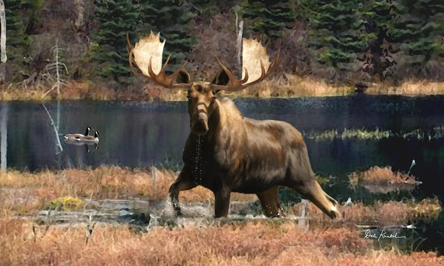 FRAMED WILDLIFE ART framed wildlife art: