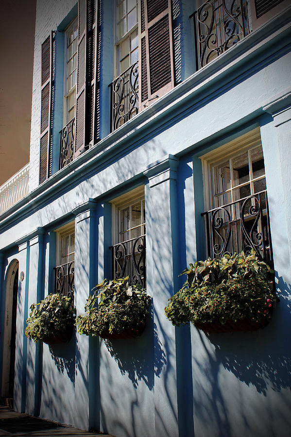 Window Garden Photograph By Michael Byerley Fine Art America