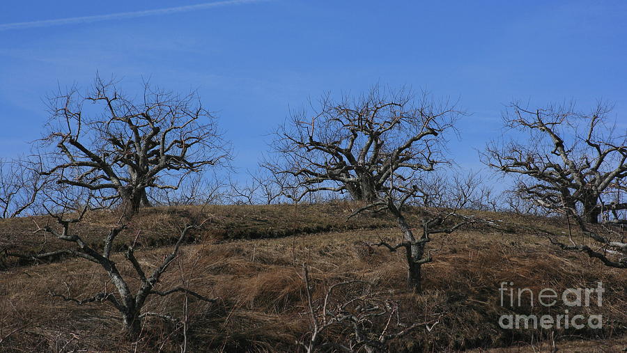 Bild zu Marcel Goetz