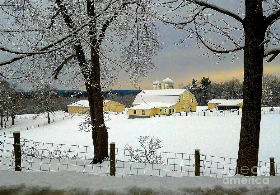  - yellow-barn-richard-cowles