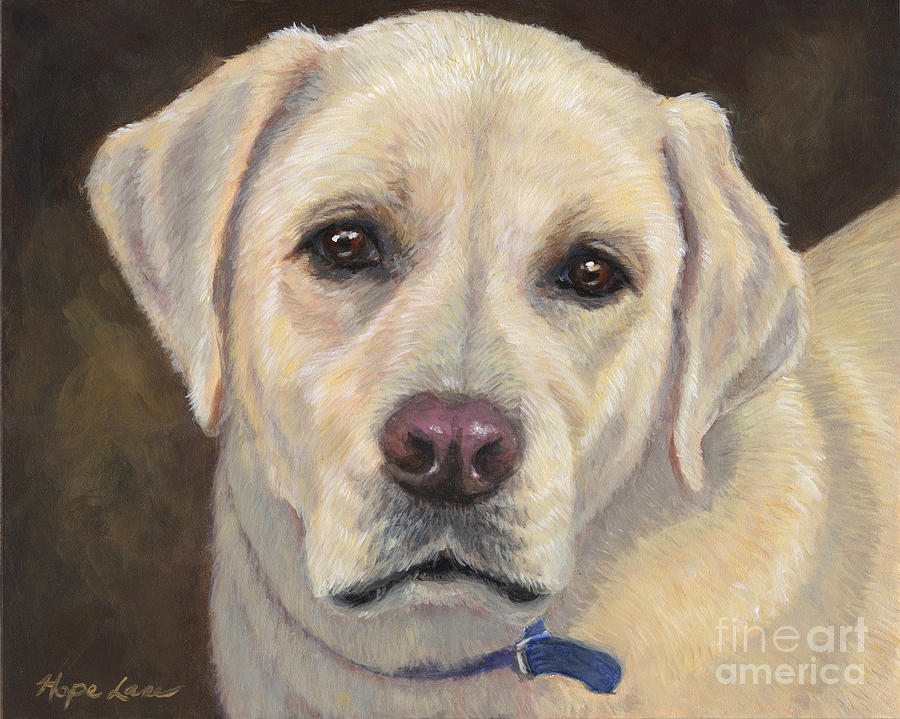 Yellow Labrador Retriever Painting By Hope Lane