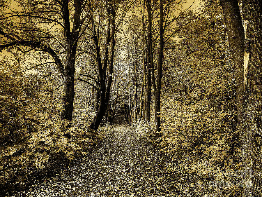 Sepia Toned Photos