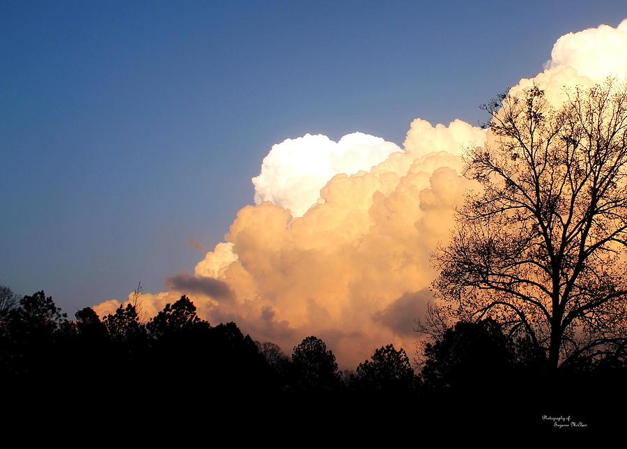  - 1-a-face-in-the-clouds-suzanne-mcclain-