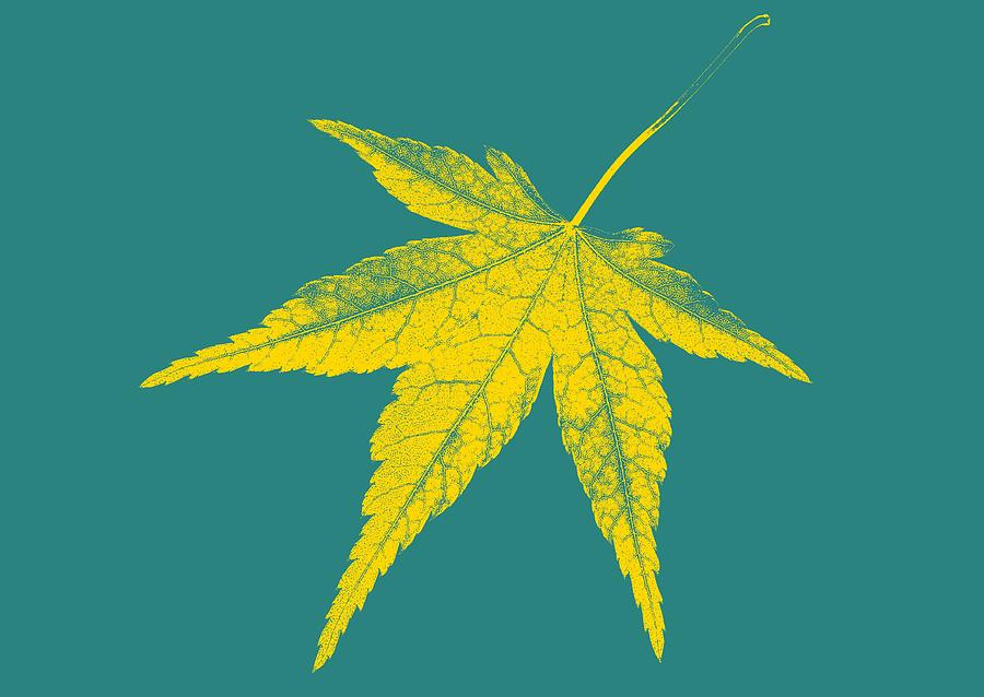  - 1-autumn-leaf-fine-art-nhan-ngo