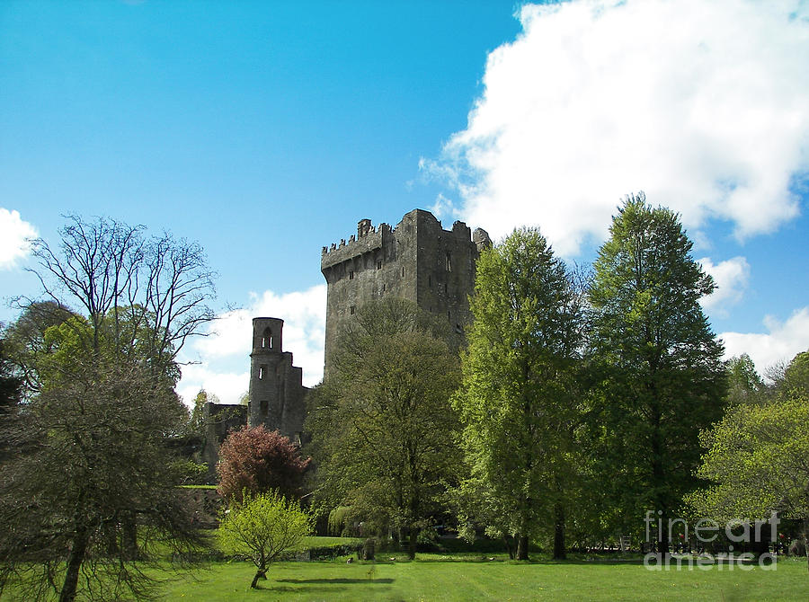 Castle In Ireland