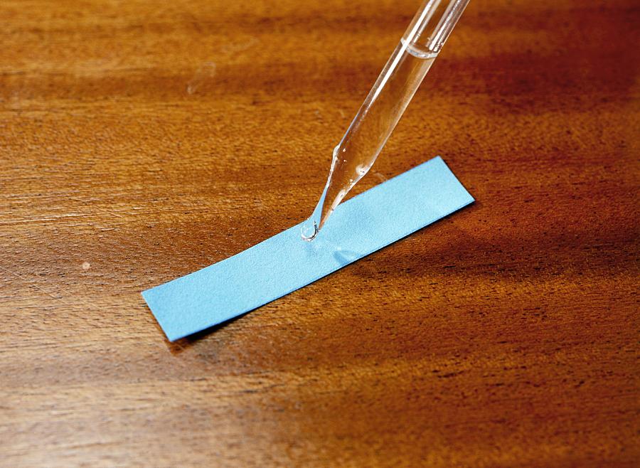 Cobalt Chloride Paper Photograph by Andrew Lambert Photography