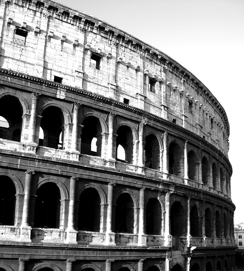 colosseum rome drawing