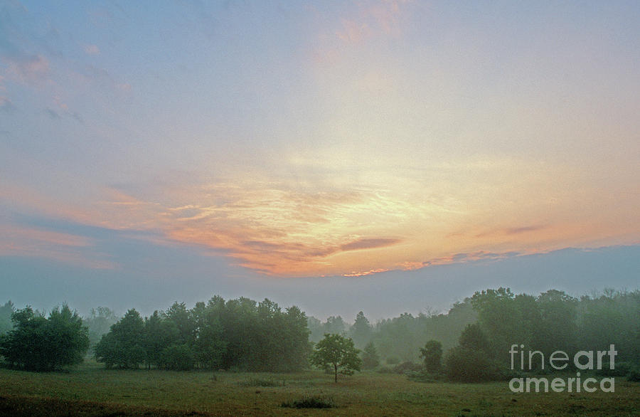  - 1-dawn-on-the-meadow-bill-spengler