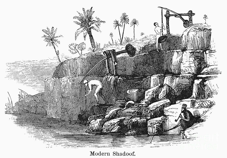 Egypt Shadoof Irrigation Photograph by Granger