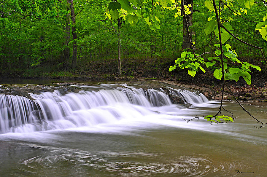 explore-these-pictures-to-know-how-nature-makes-india-diverse