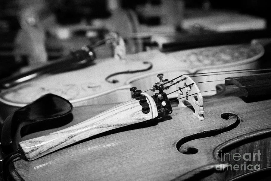 Homemade Violin