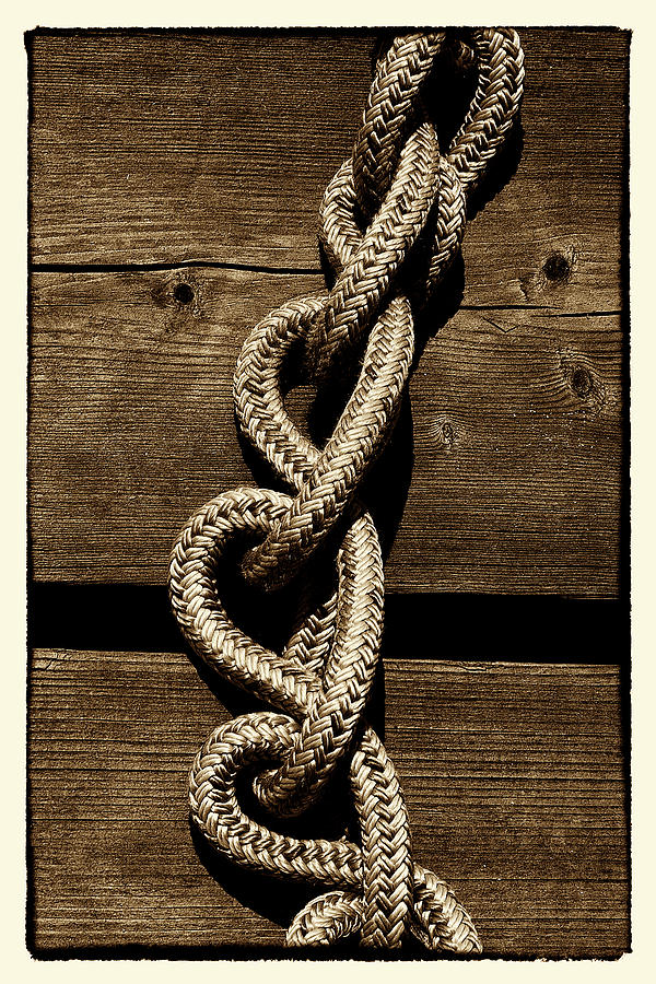 Knots Art