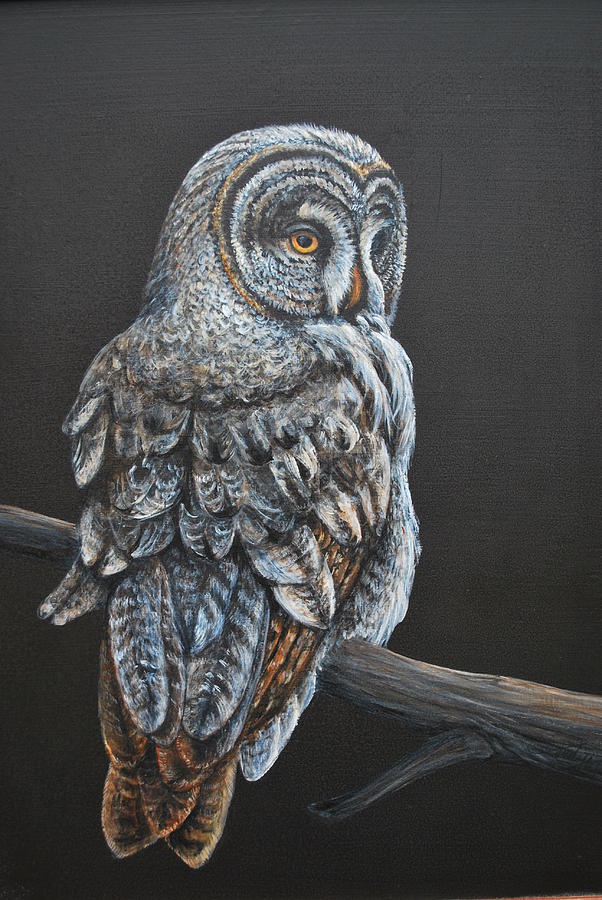 Night Owl by Judy Arbuckle