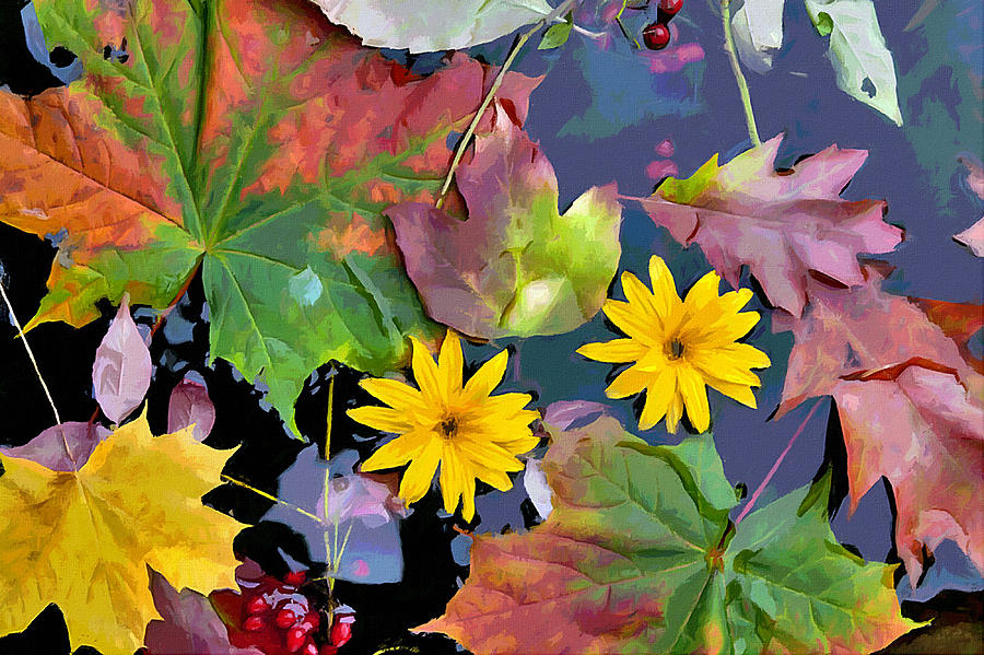 autumn leaves water