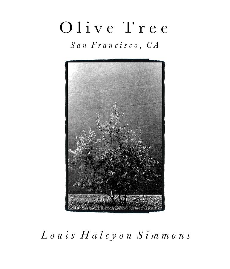  - 1-olive-tree-louis-simmons