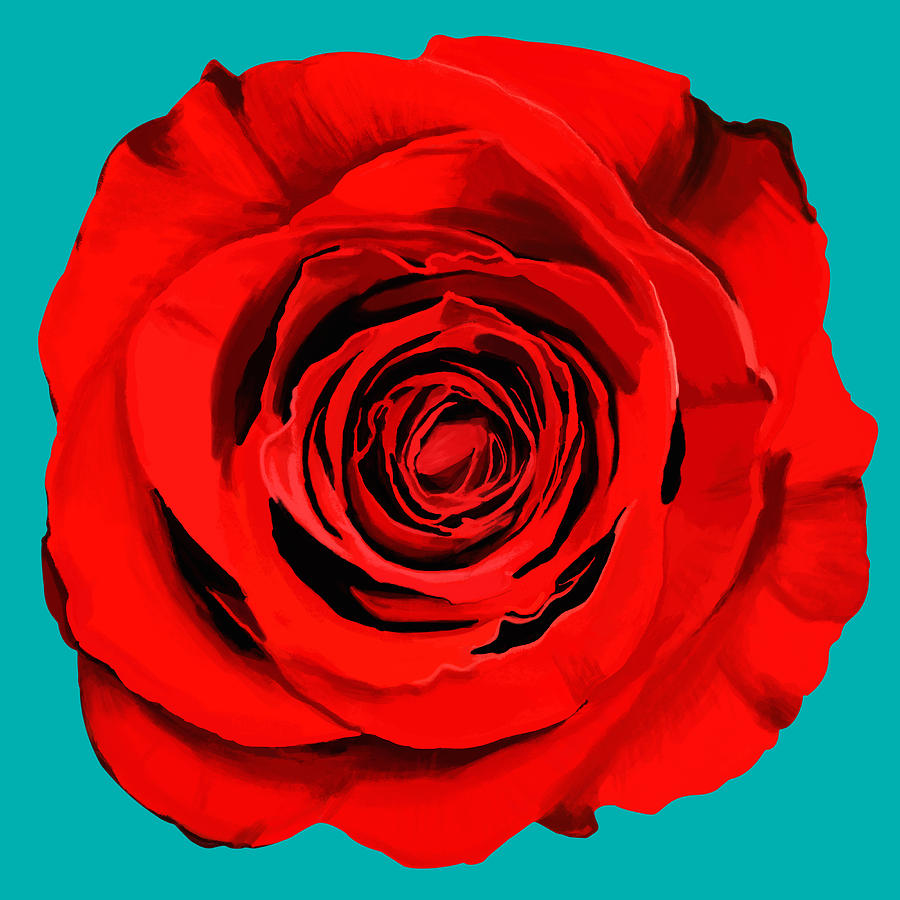 single rose painting