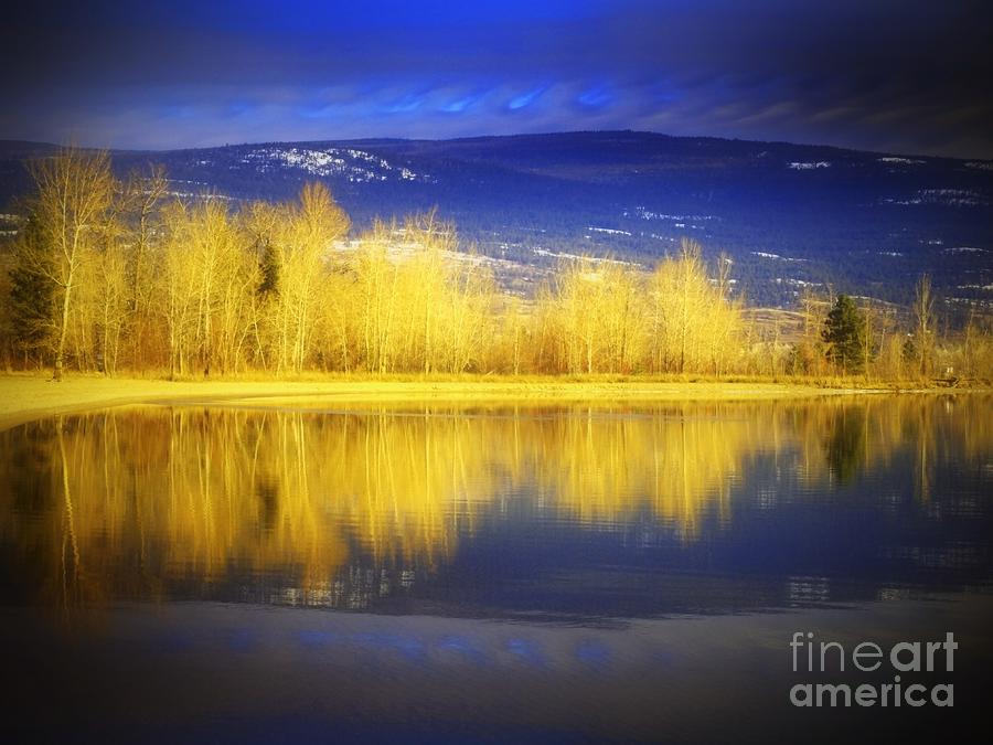  - 1-reflections-in-gold-tara-turner