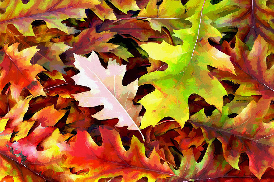 Background Autumn Leaves