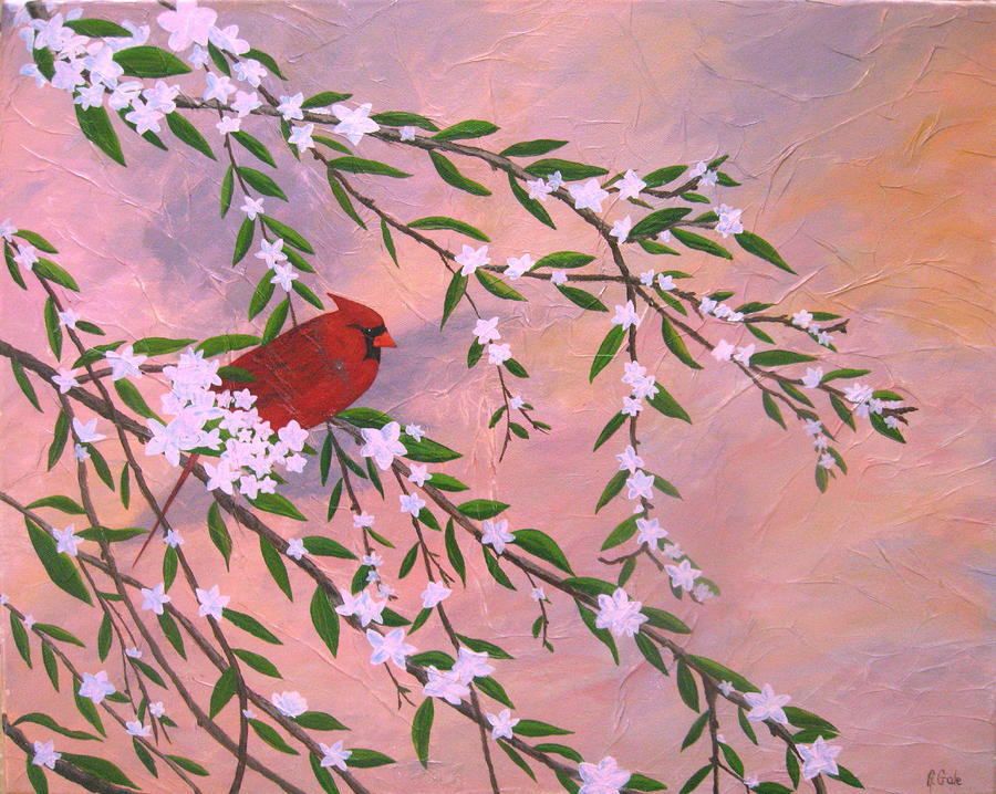 Cardinal Spring