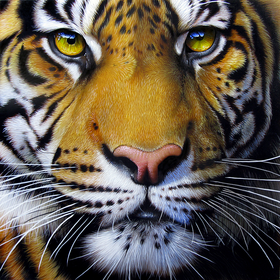 Famous Tiger Artworks